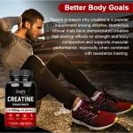 Catfit Creatine Monohydrate Capsules