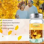 Daynee Ginkgo Biloba Capsule