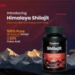 Shilajit From Himalaya Capsules